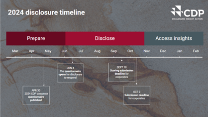 CDP reporting 2024 timeline