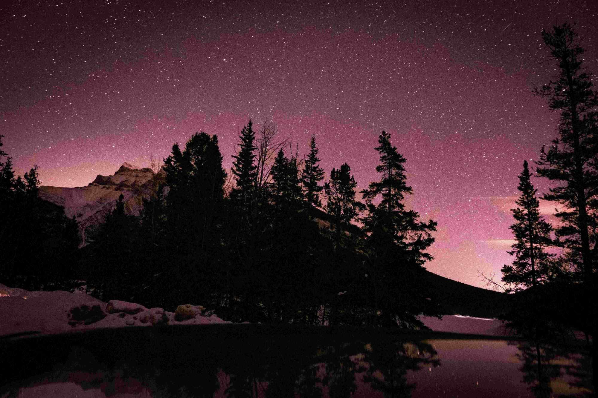 double materiality challenges csrd blog forest night sky pink cority