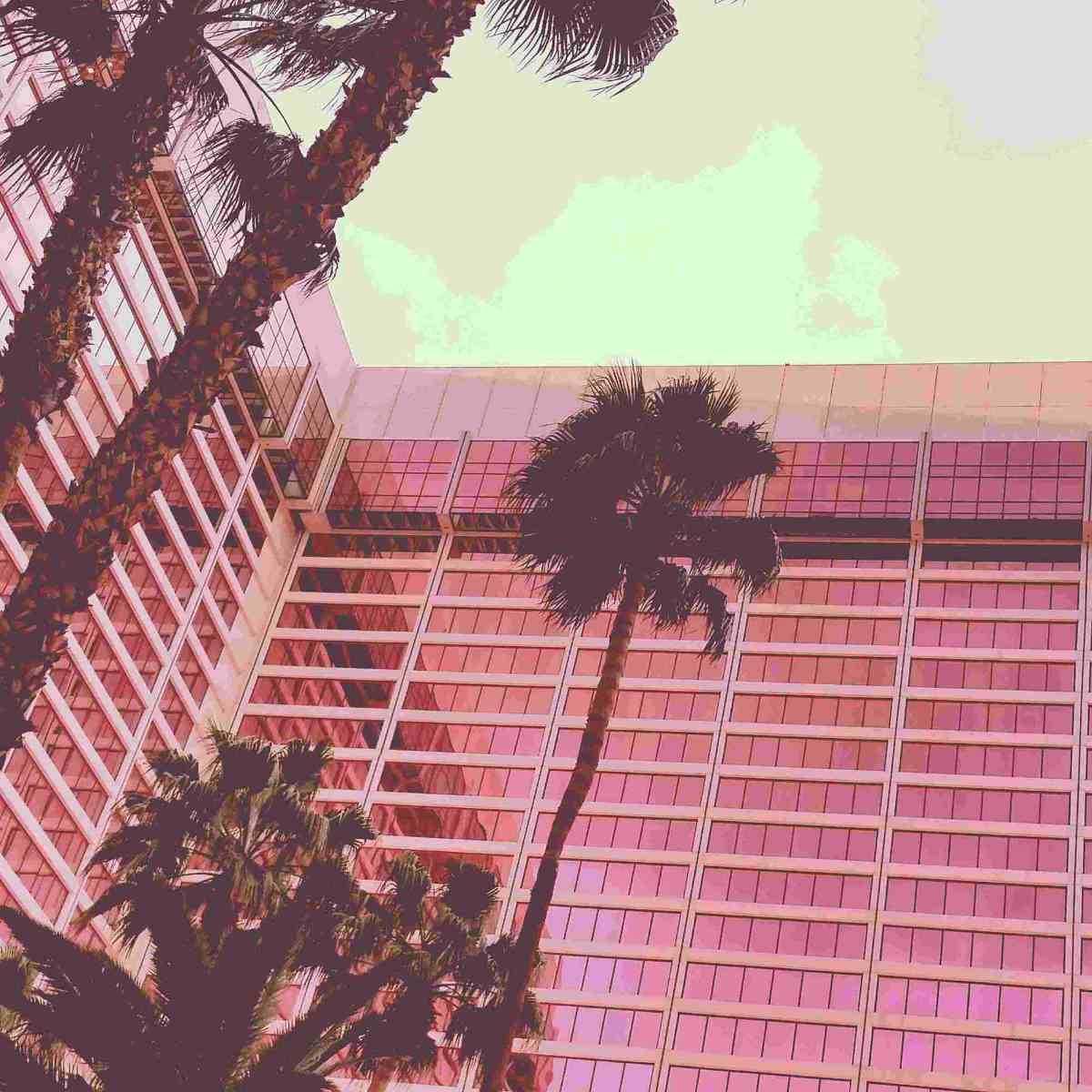 greenbiz 23 esg takeaways palm trees pink cority