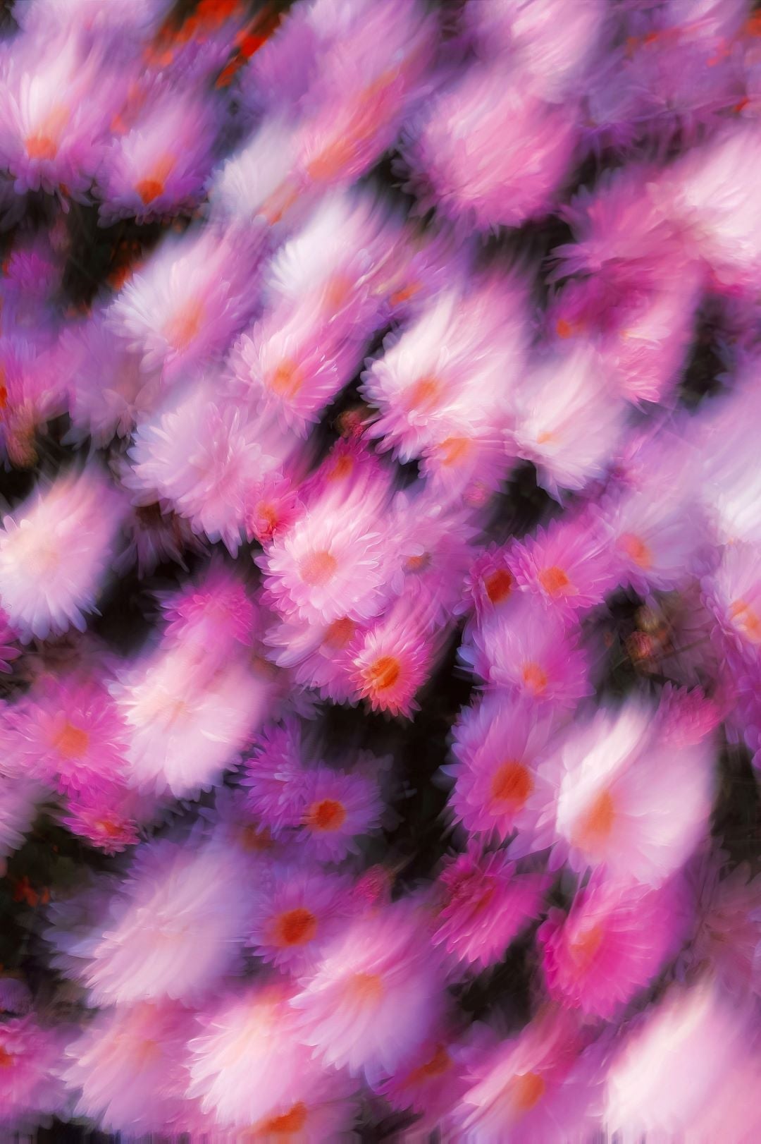 slds esg success blog blurry flowers pink cority