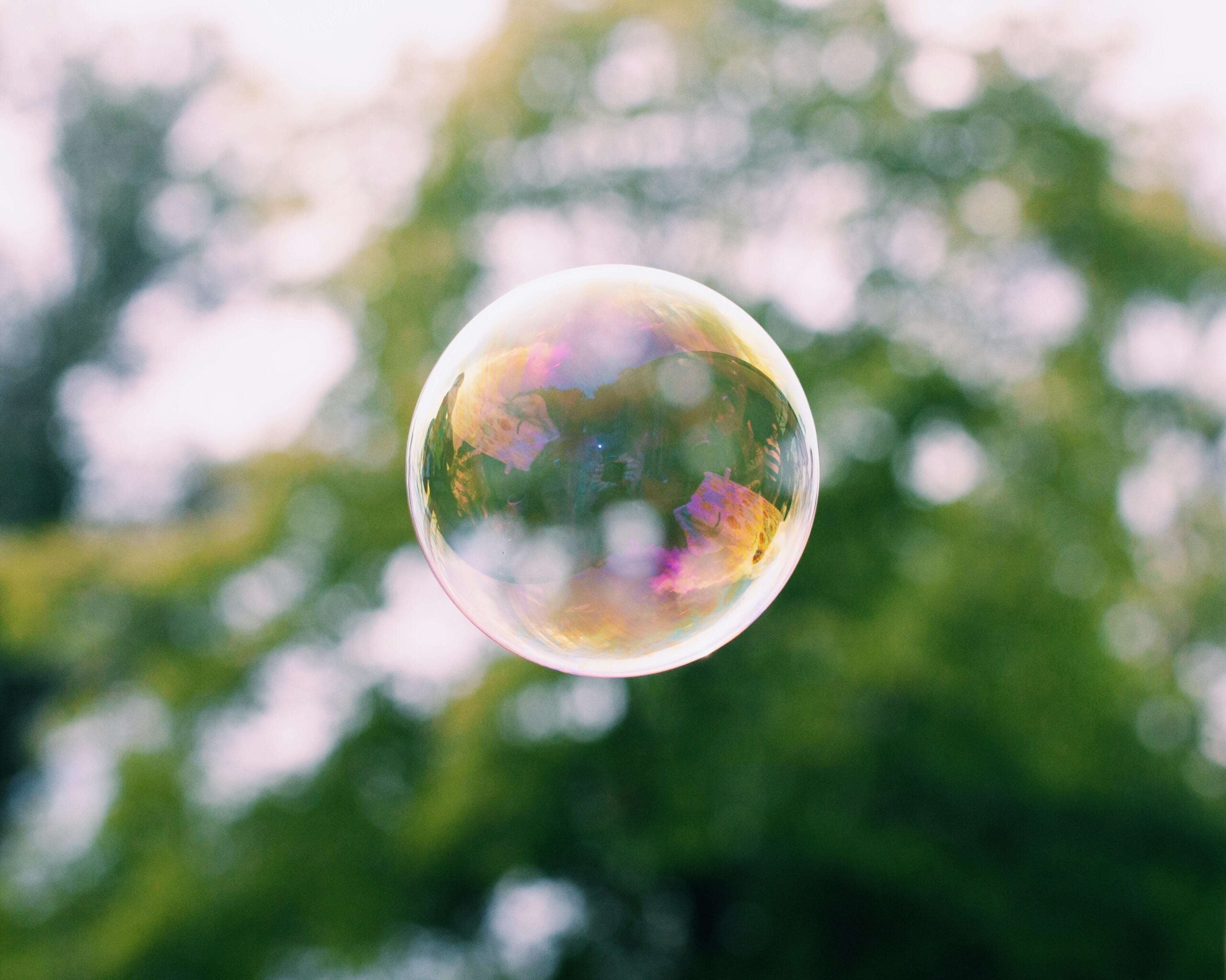 chemical safety compliance blog trees bubble photo cority